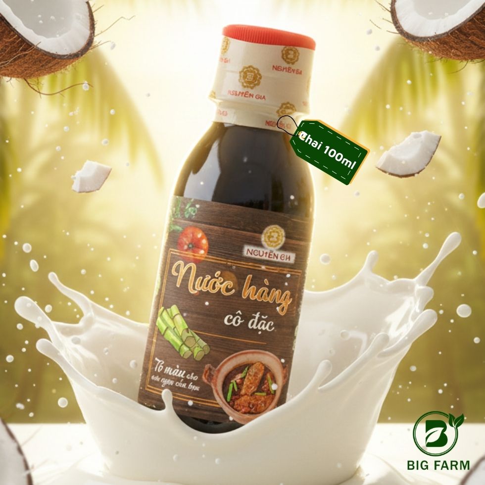 Nước Hàng Nguyễn Gia Cốt Dừa Cô Đặc - Ảnh 2